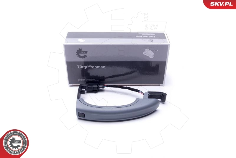 Exterior Door Handle